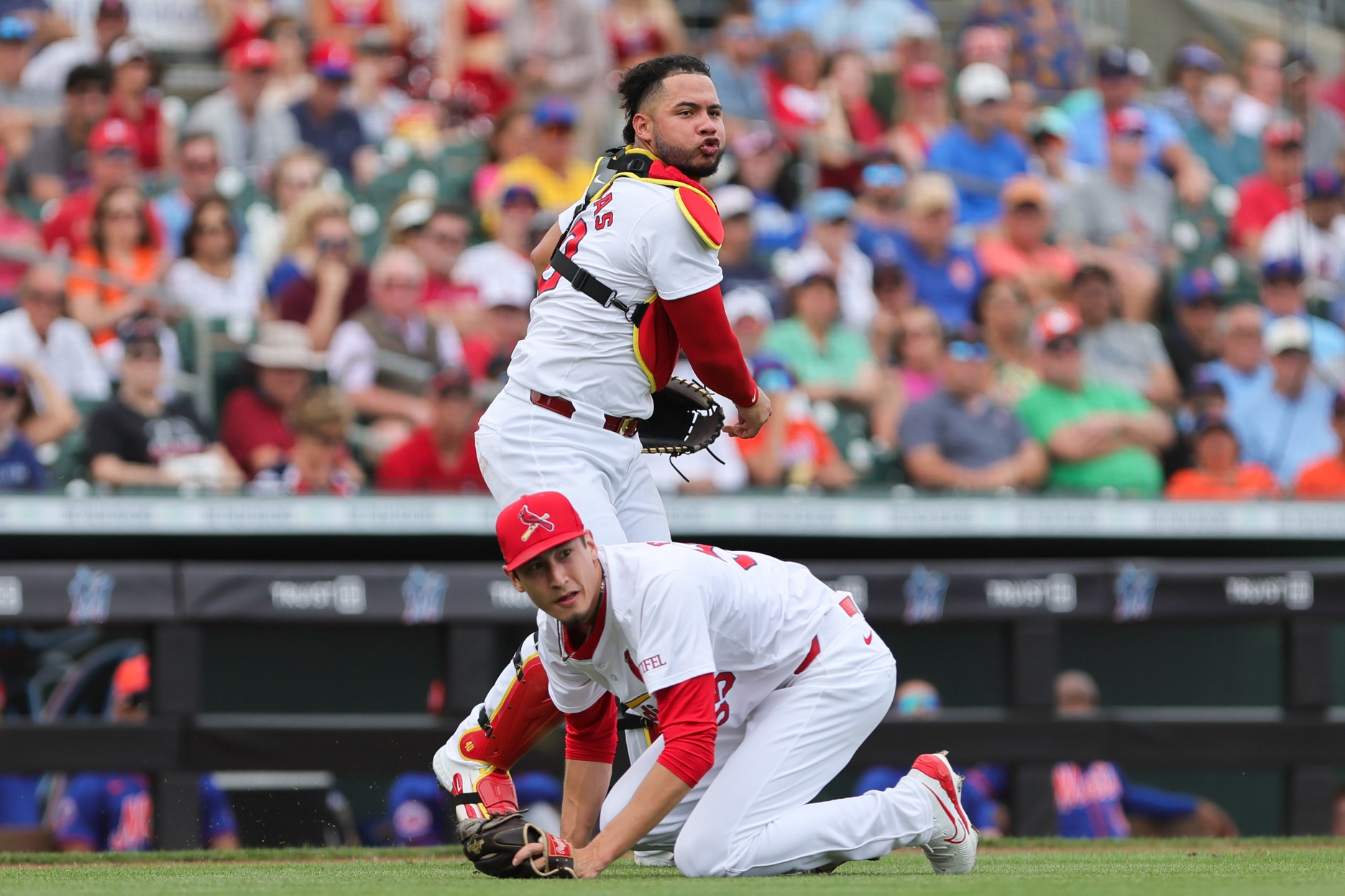 Bernie On The Cardinals: The Giants Sign 3B Matt Chapman. The Fray Is ...